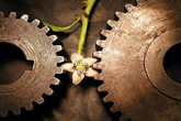 iso/ts 16949 eğitimi,16949 eğitimi,iso/ts 16949 otomotiv kalite yönetim sistemi,
16949 nedir?,iso/ts 16949:2009,iso 16949 standard